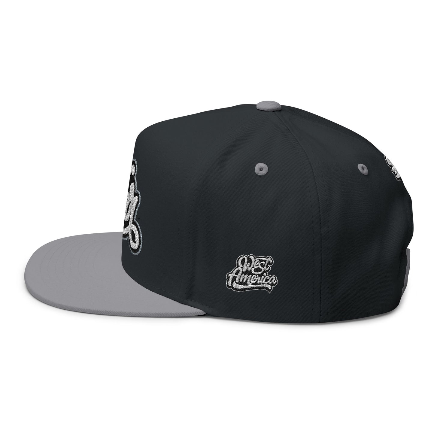 (Ltd.) Haloed “WAR” Flat Bill Cap 360