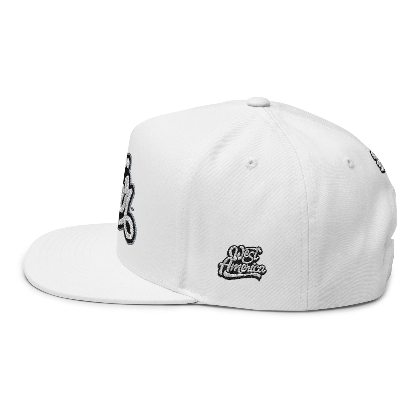 (Ltd.) Haloed “WAR” Flat Bill Cap 360