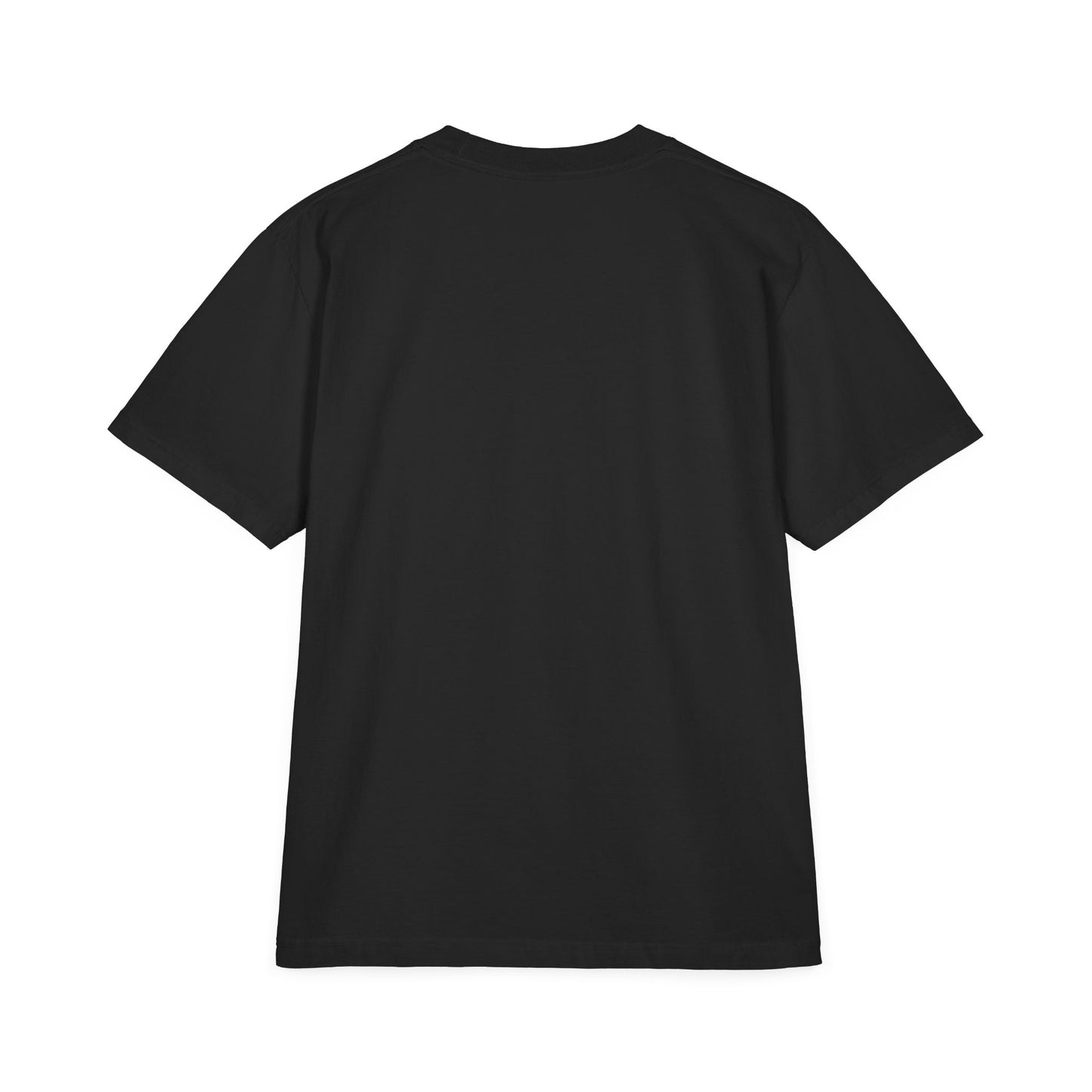 Copy of Copy of Astronaut 'Renegades in Orbit' T-Shirt | Unisex Graphic Tee, Space Theme Shirt, Gift for Space Lovers, Casual Wear, Unique Graphic Top